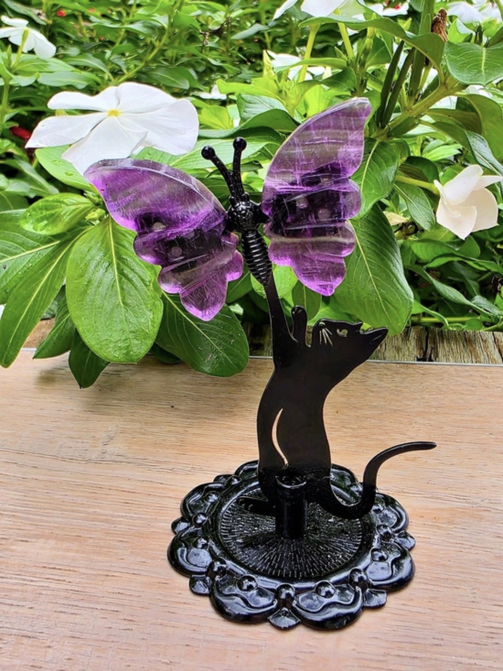 Cat Caughting a Rainbow Fluorite Crystal Butterfly